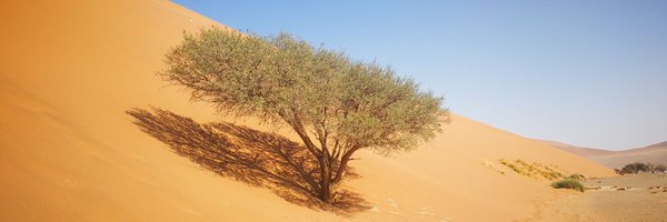 Santnonat Profile Banner