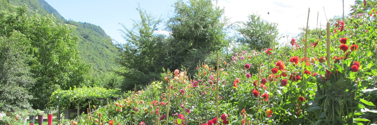 Mutti 📯 @alemanniel.bsky.social banner