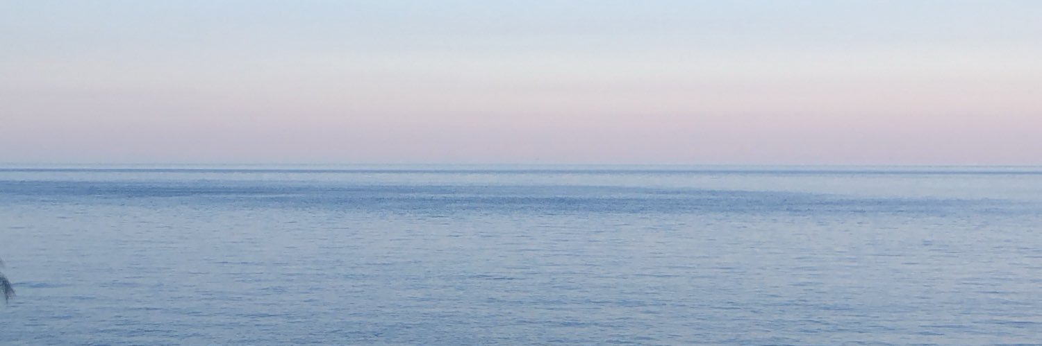 _DaisyRobertson's profile banner image