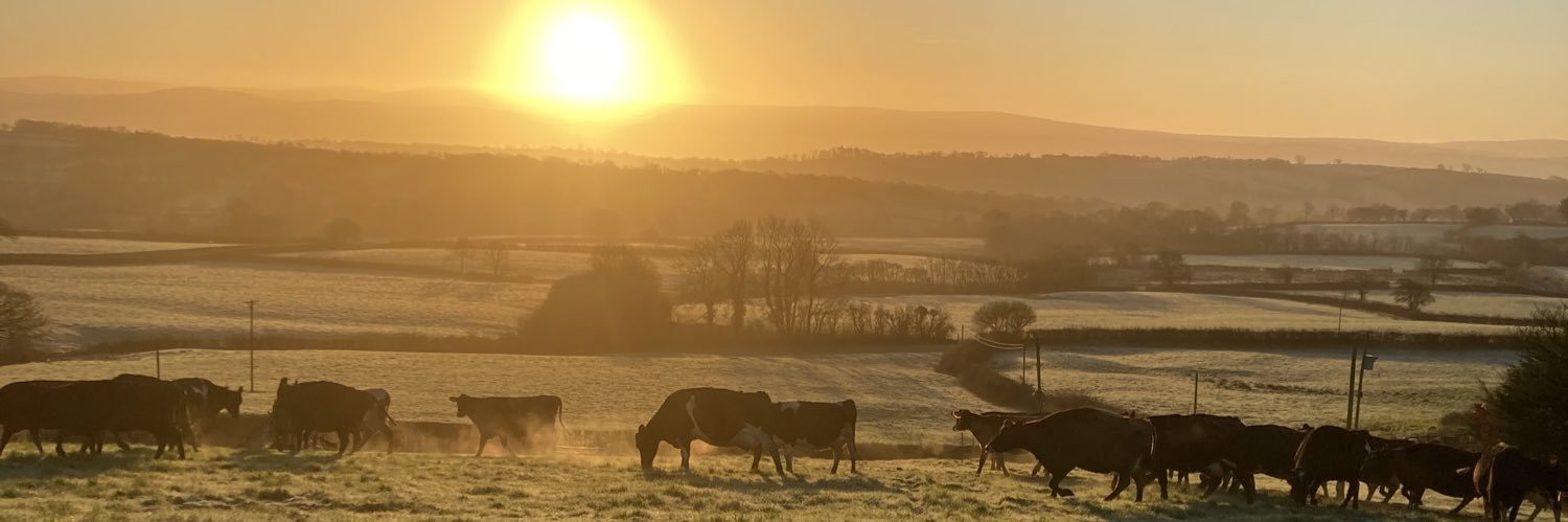 Simon Leverett 🇺🇦 banner