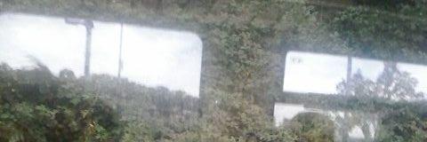 Björn Fleischer banner