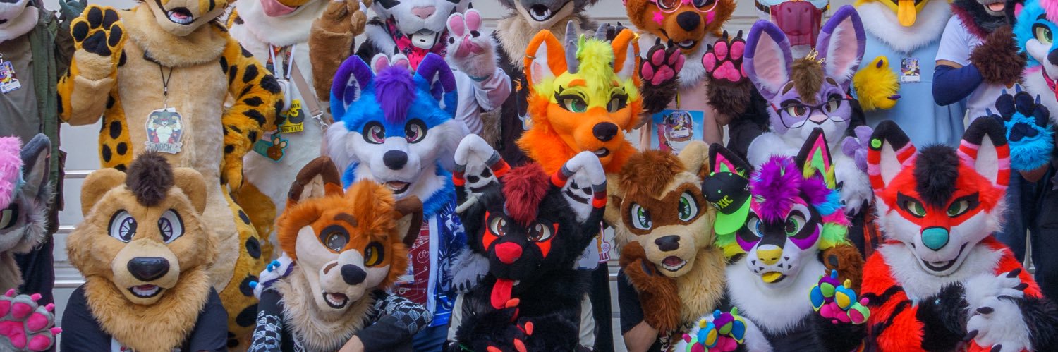 Expentor's profile banner image
