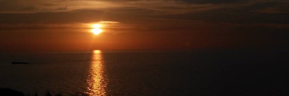 MChiara7's profile banner image