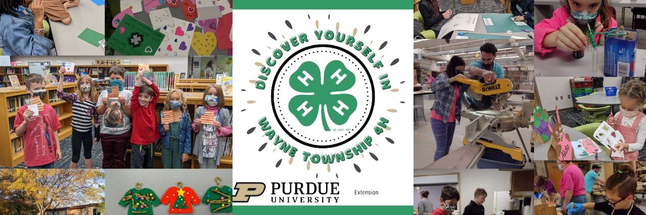 Wayne Township 4-H banner