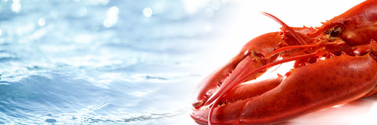 GaspeShore's profile banner image