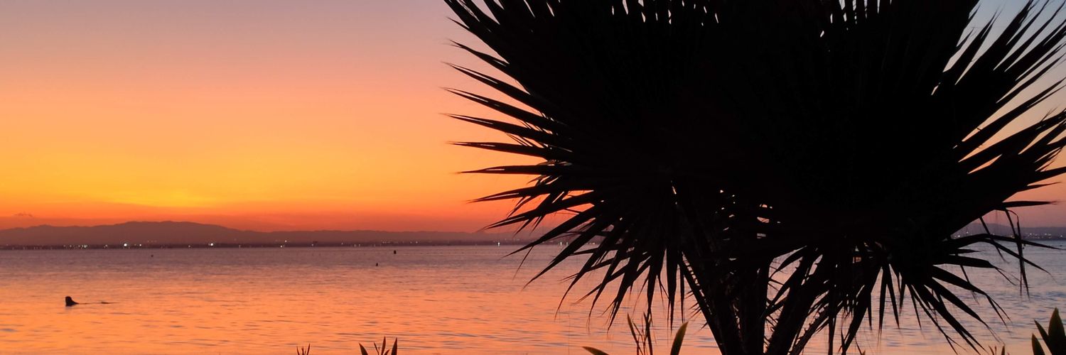 Ana de la Cierva banner