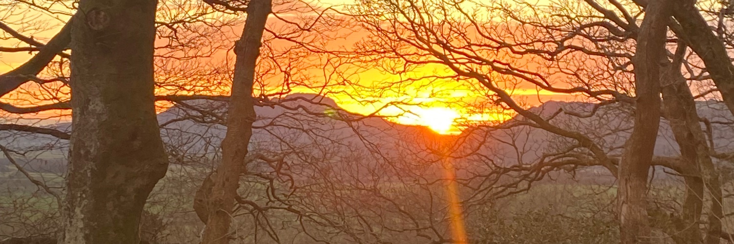 Chris Crooker banner