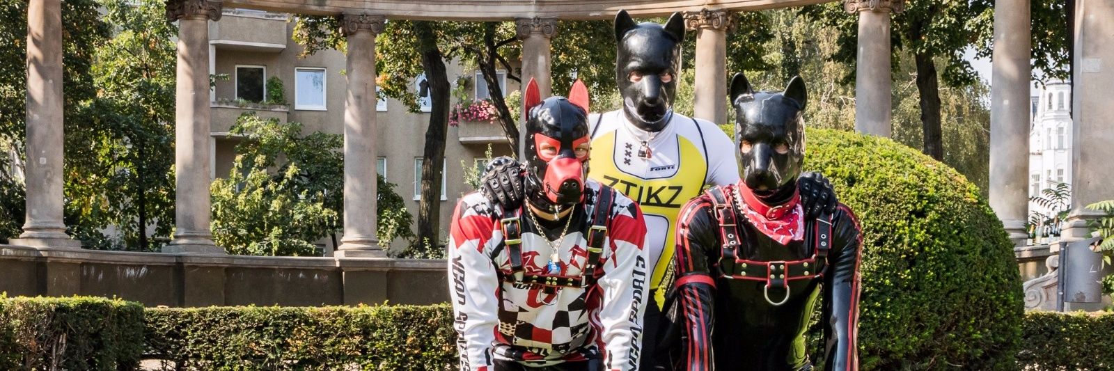 PupCastor's profile banner image