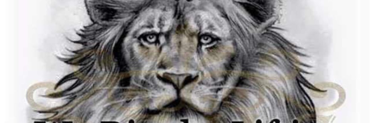 PoThenia's profile banner image