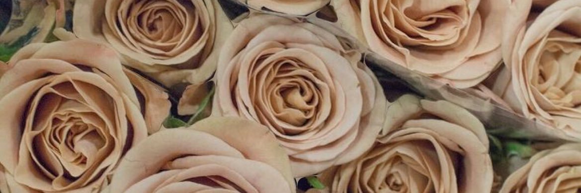 tymbermartinez's profile banner image