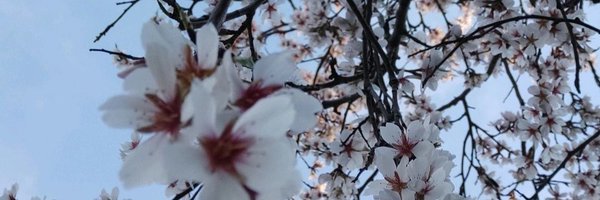 anahernandezpl1 Profile Banner