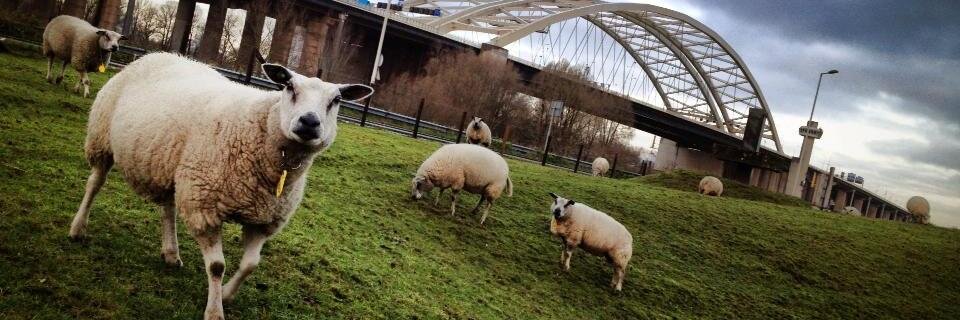 FrankAfvalmanagement banner