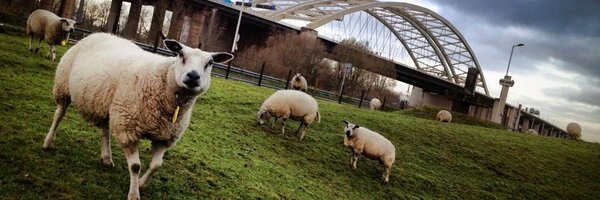 Afvalmanagement Profile Banner