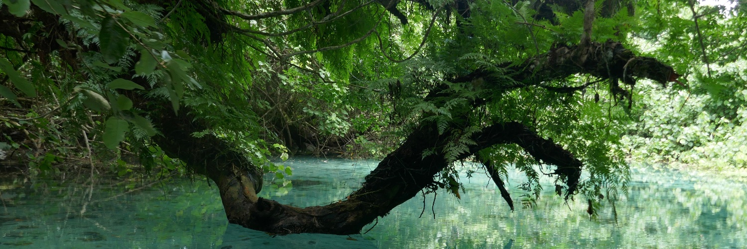 Ingvar Backéus, Baba Daudi🇹🇿🇦🇲🇸🇪🇸🇭🇻🇺 banner