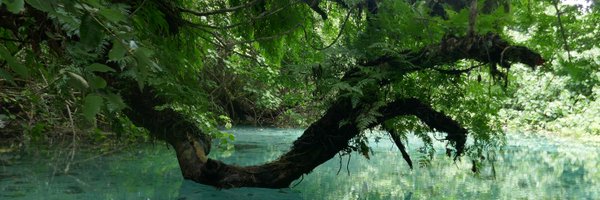 IngvarBa Profile Banner