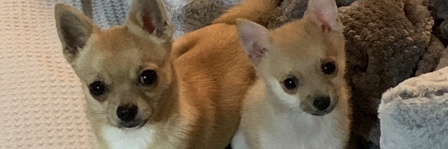 ace_diva7's profile banner image