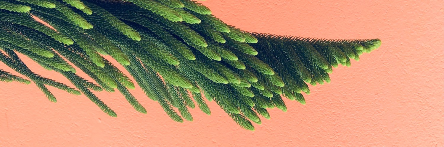 CJ Del Rosario banner