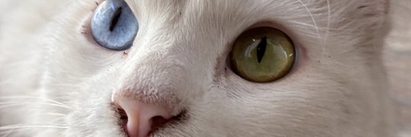 1_ucs Profile Banner