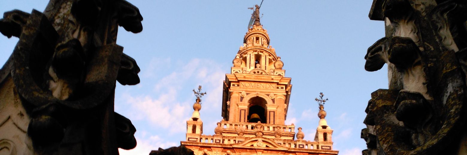 TORNESMAN's profile banner image