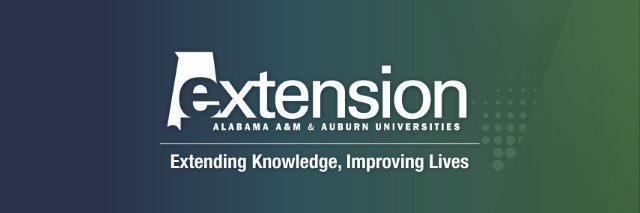 CoffeeACESedu's profile banner image