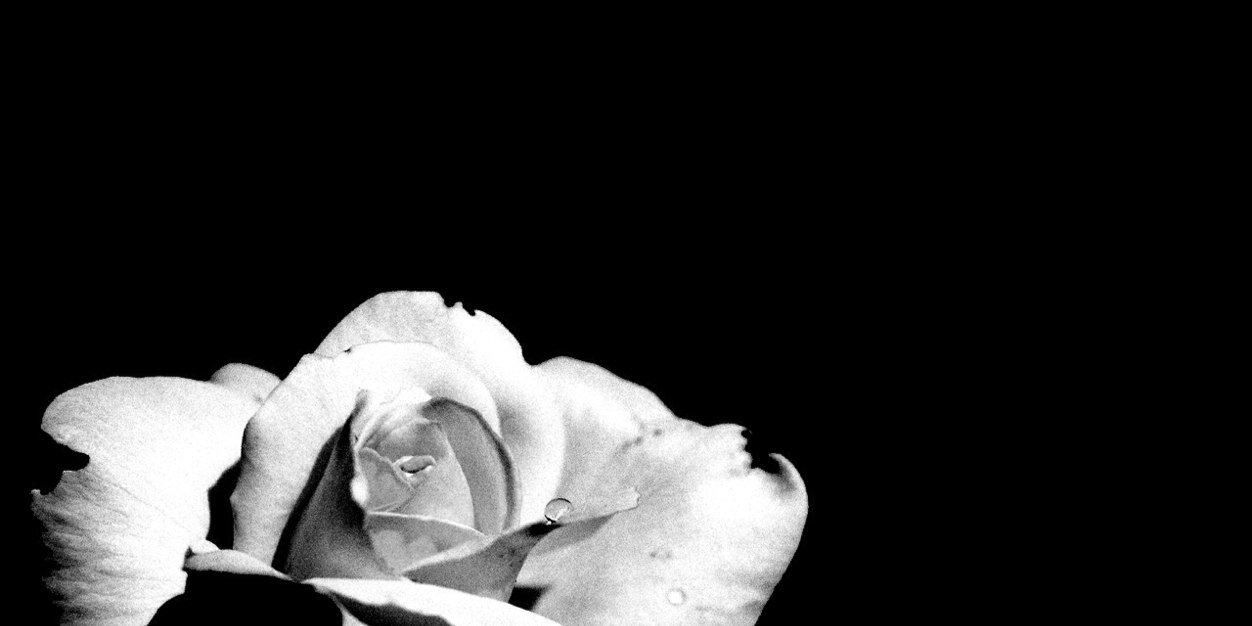 michellesimoess's profile banner image
