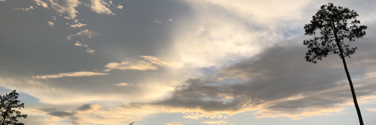 PariPrints's profile banner image
