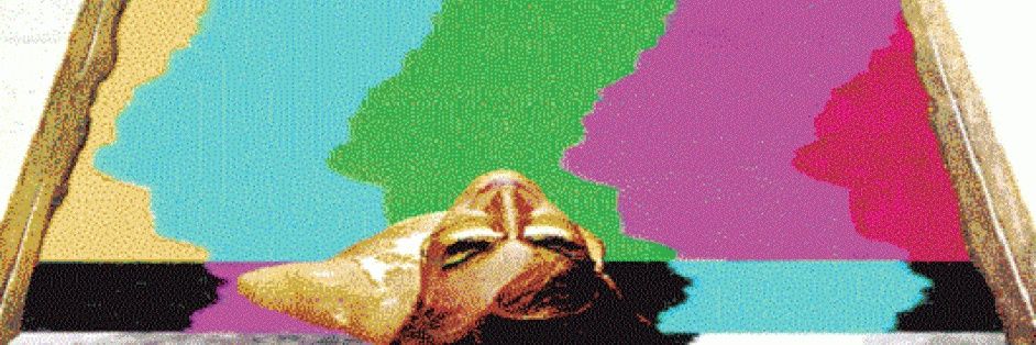 dkrwonch17's profile banner image