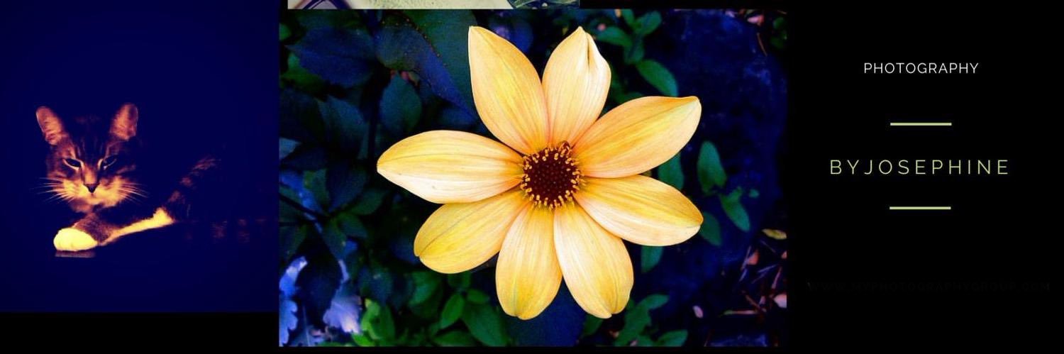MyPhotoGroup's profile banner image