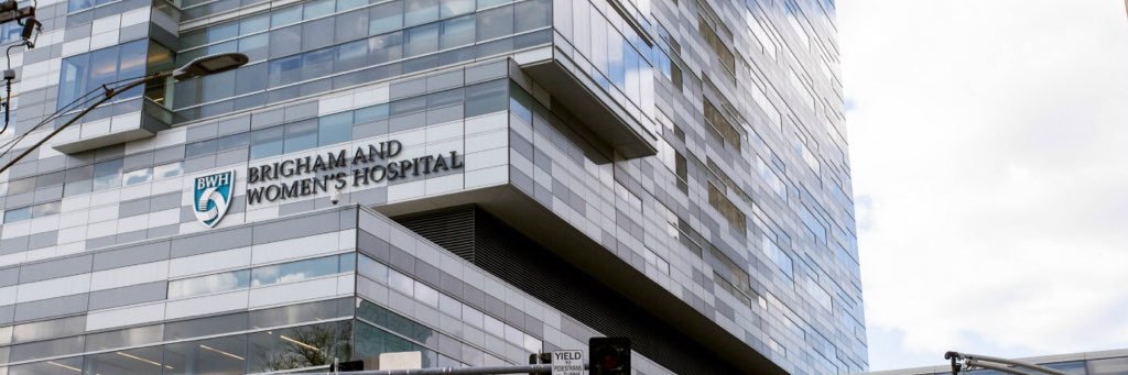 David Snipelisky banner