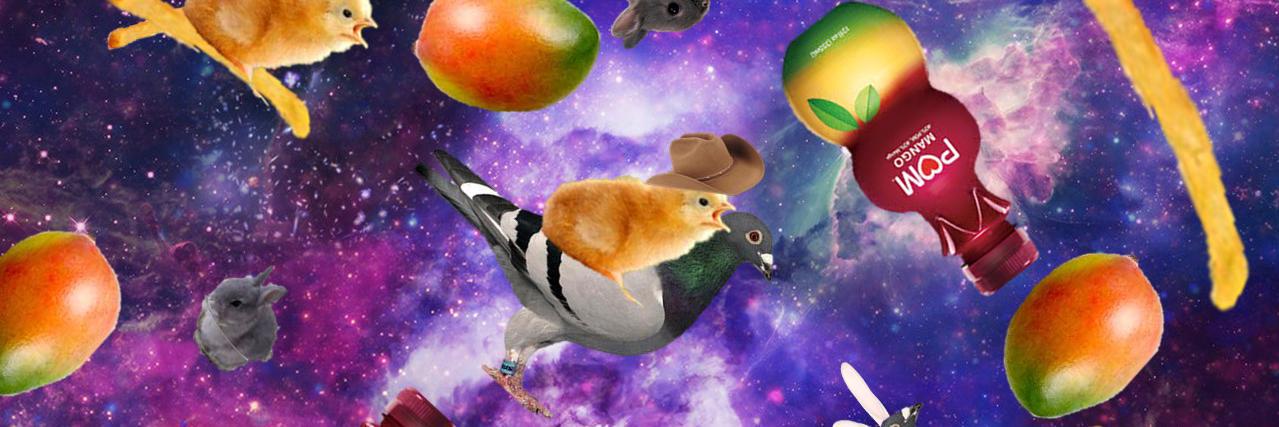 EnchantedJelly's profile banner image