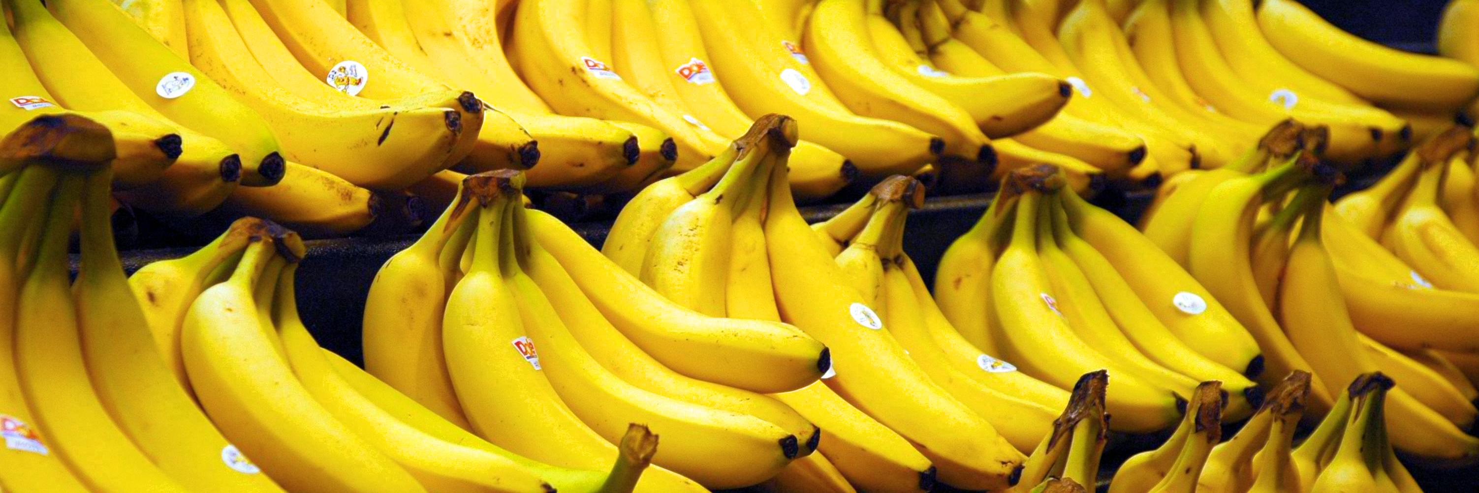 cvbananas's profile banner image