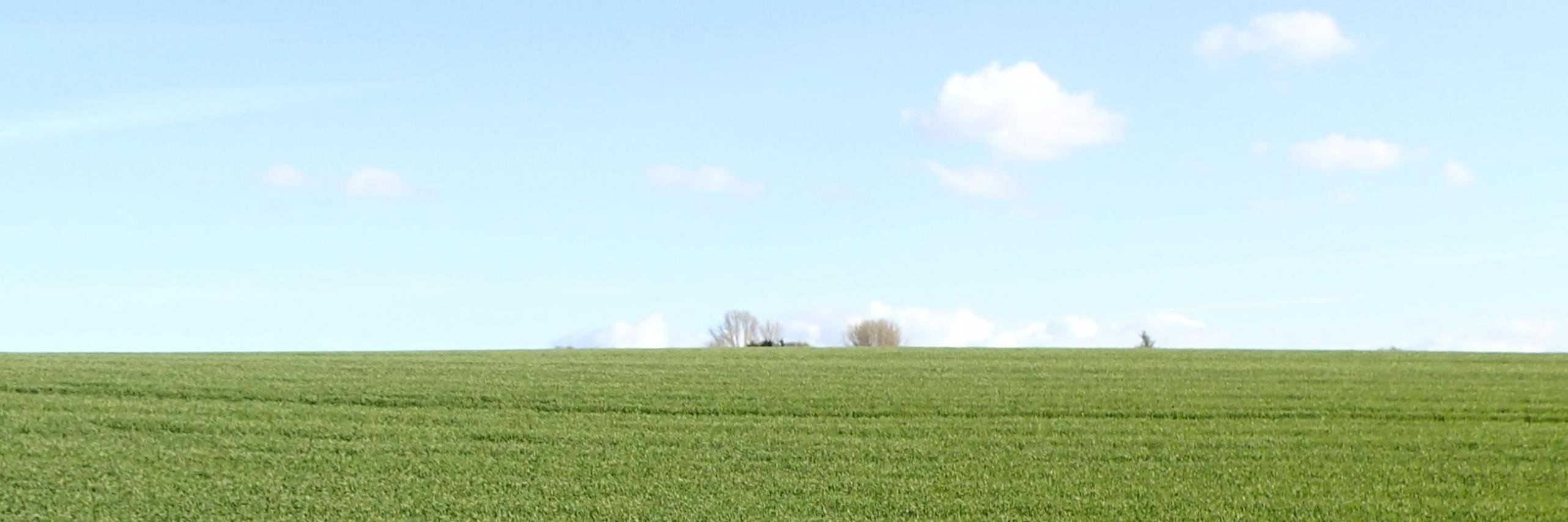 altsheets's profile banner image
