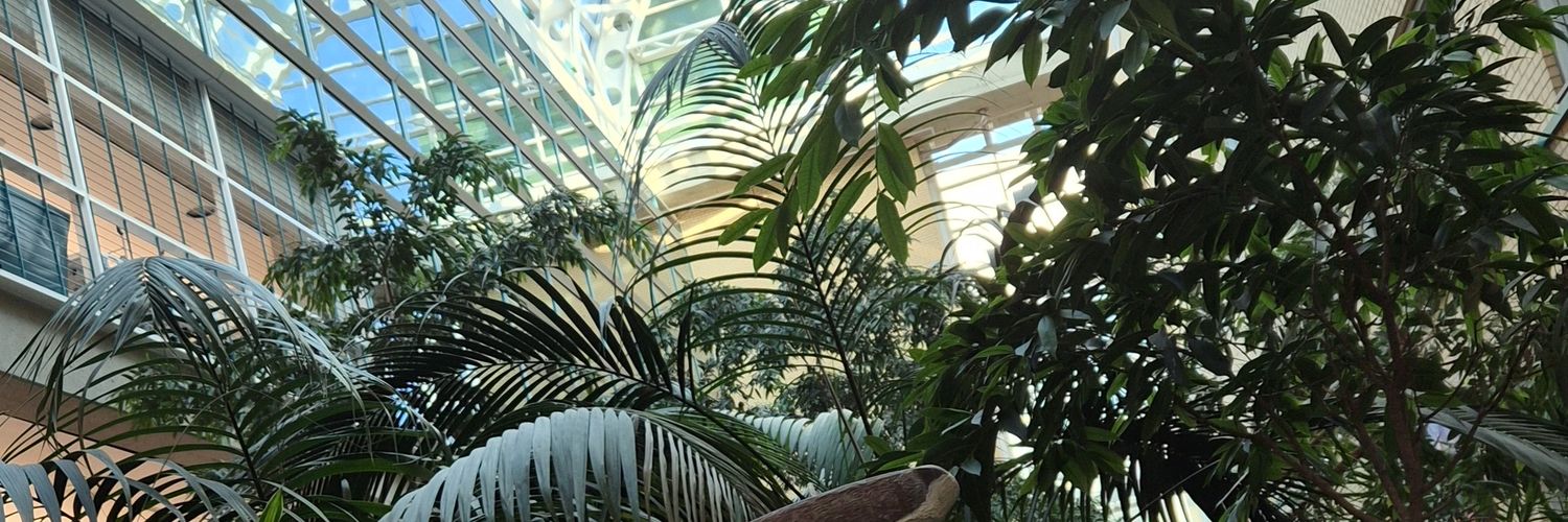 soobxhan's profile banner image