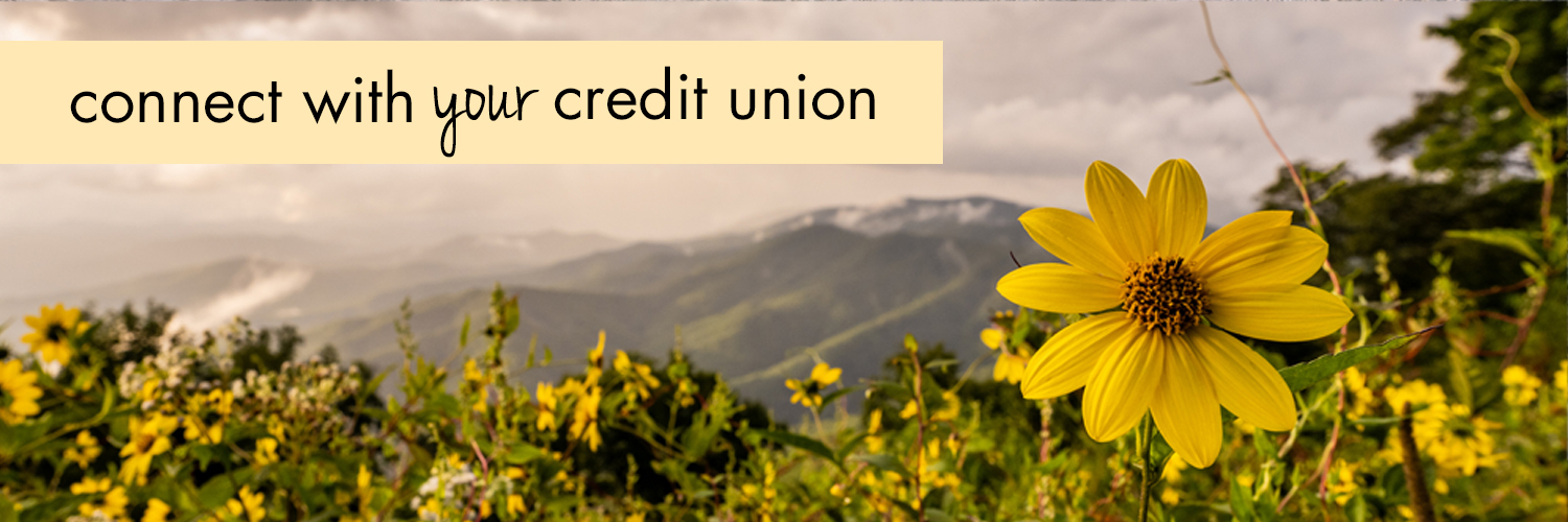 TNConnectCU's profile banner image