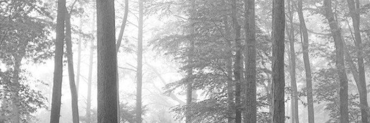 PMerindol's profile banner image