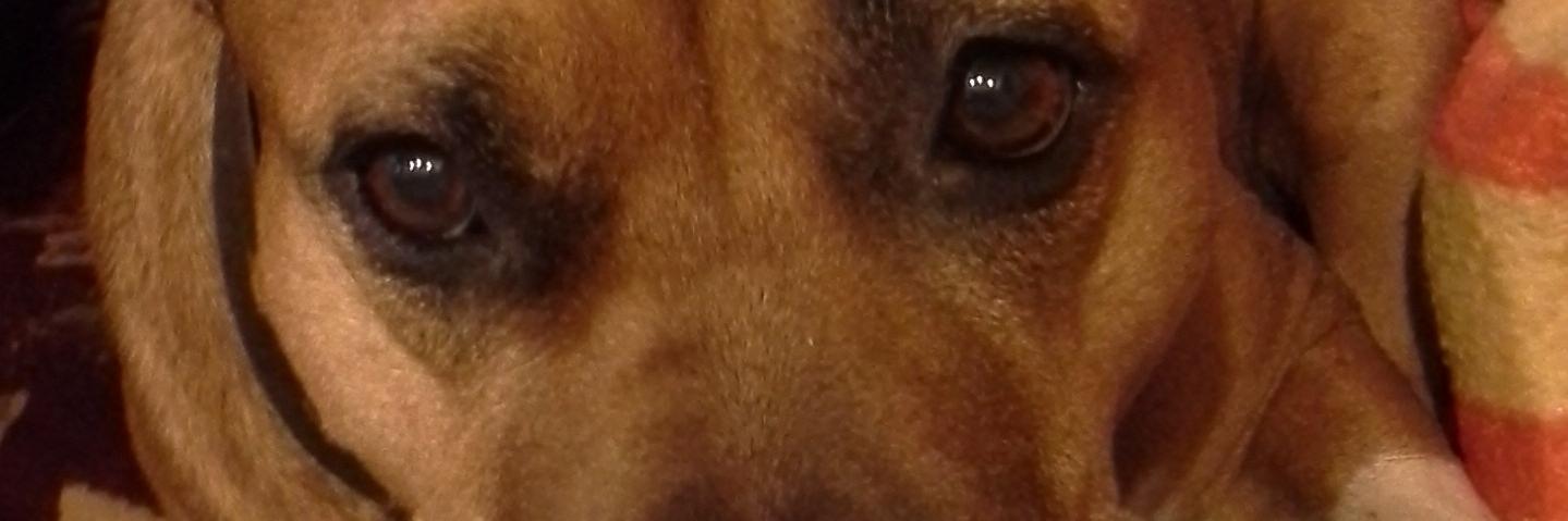 Malov5619's profile banner image