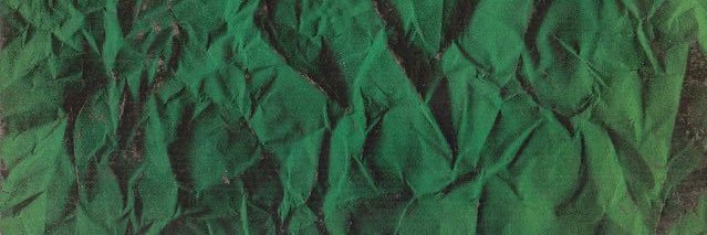 Evgeny Finageev banner