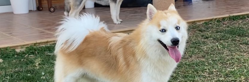 Kikoko85's profile banner image