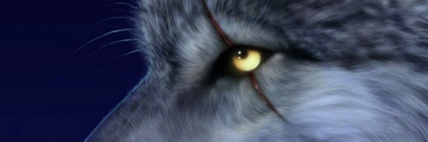krym225's profile banner image