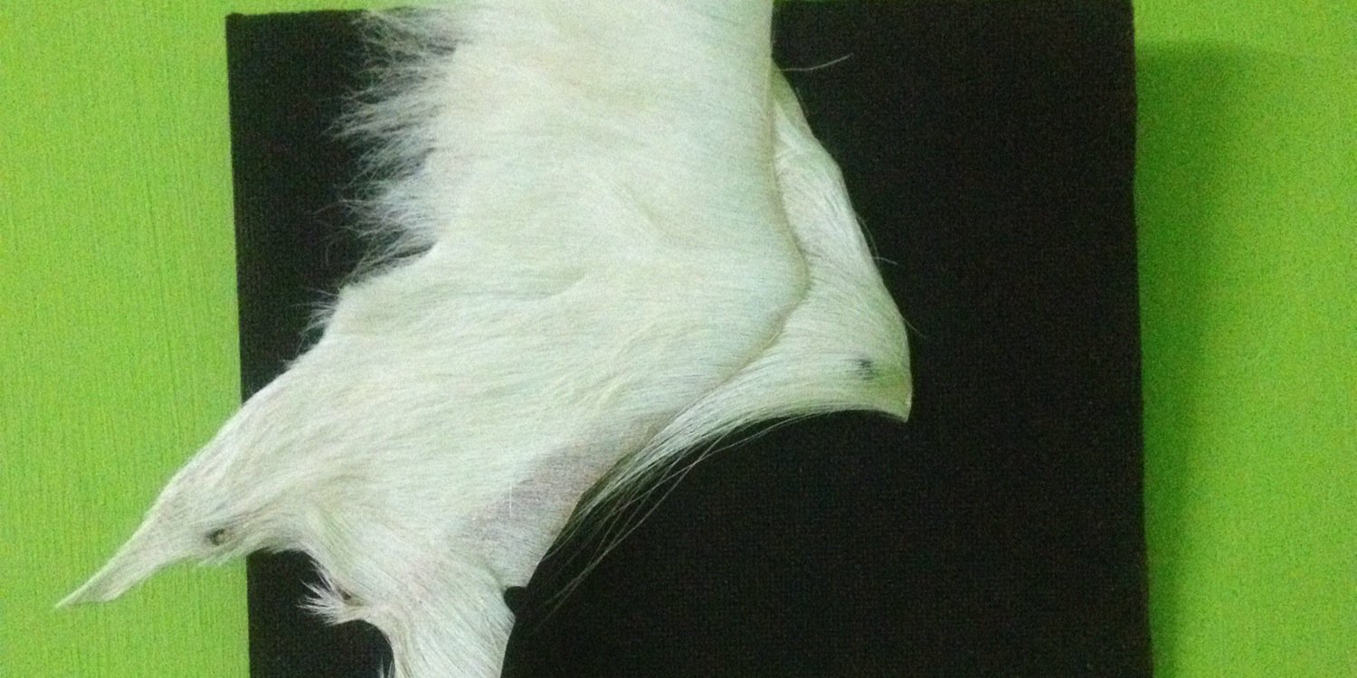 mistyuba's profile banner image