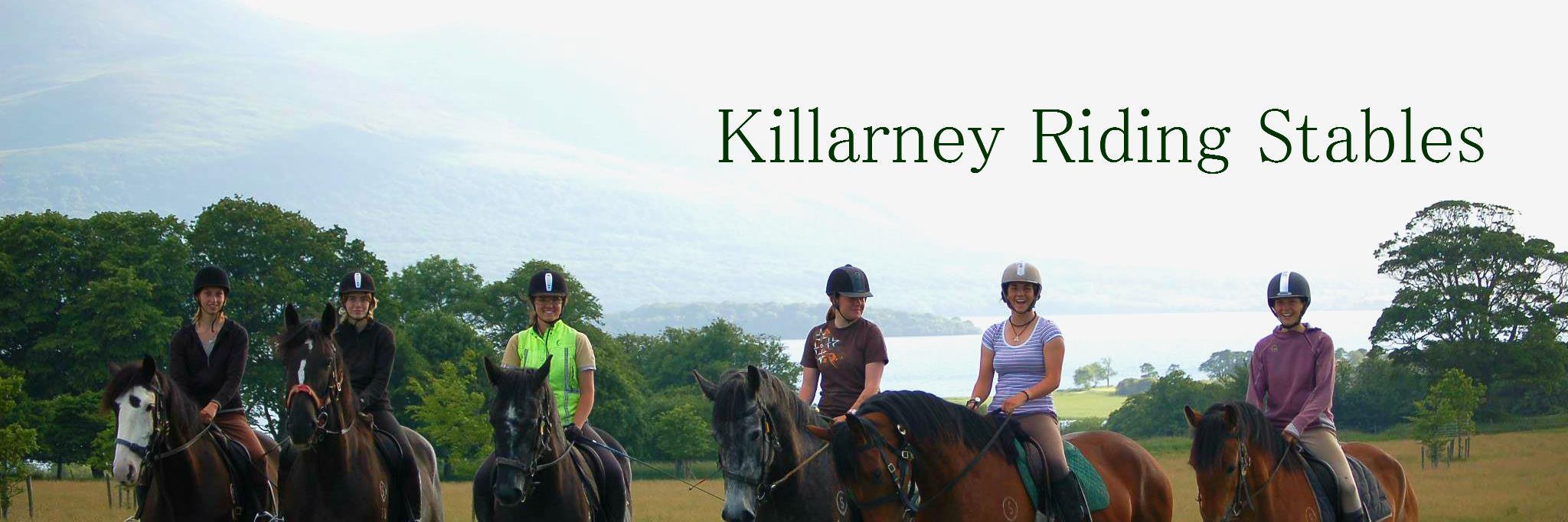 killarneystable's profile banner image
