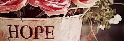 lizzy__brooks's profile banner image