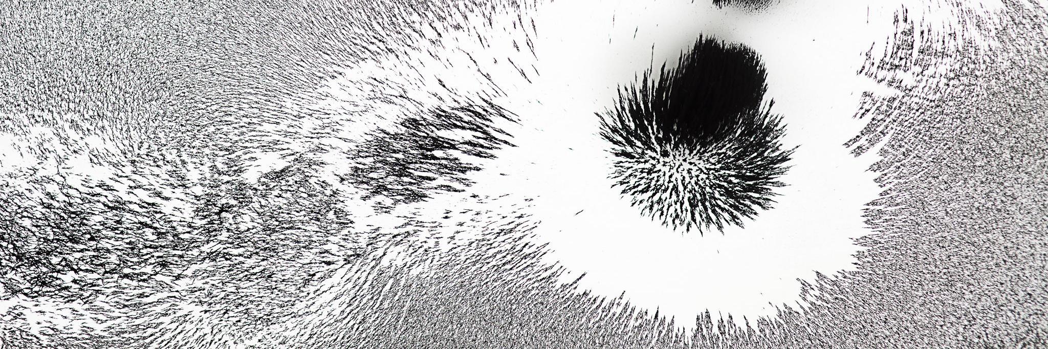 pelicanImages.com banner