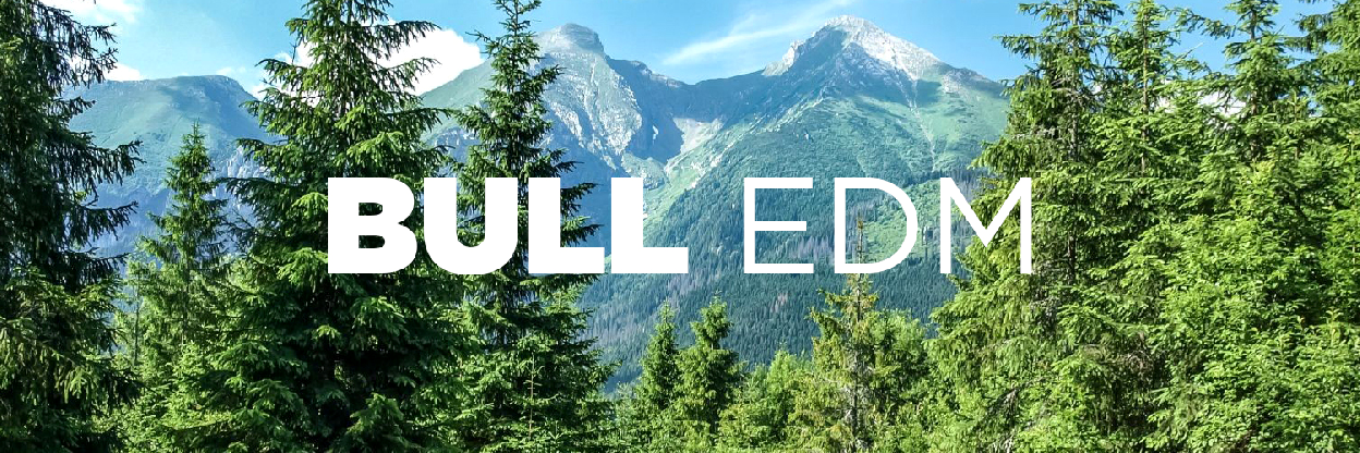 bull_edm's profile banner image
