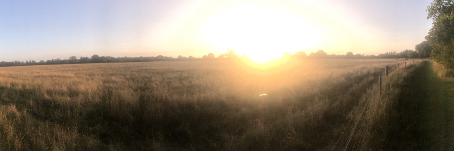 PWildber's profile banner image