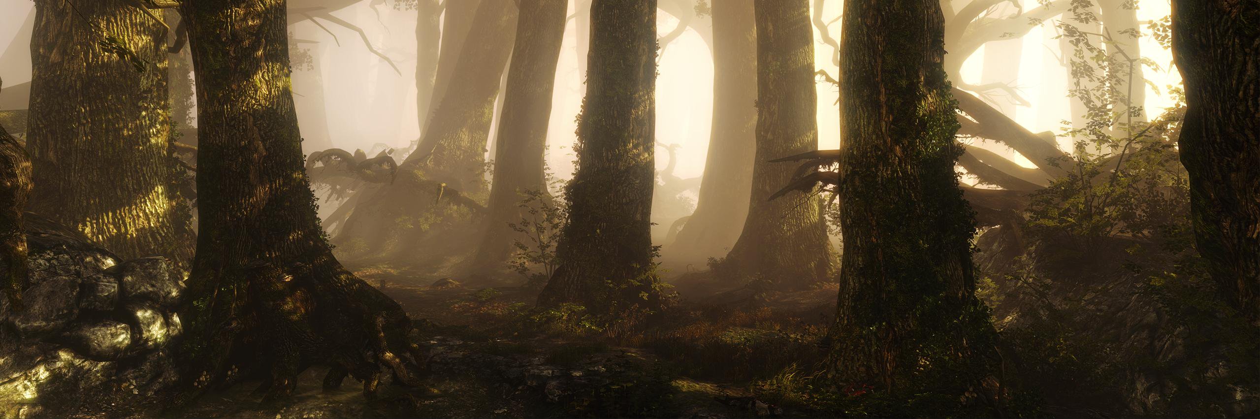herrwie's profile banner image