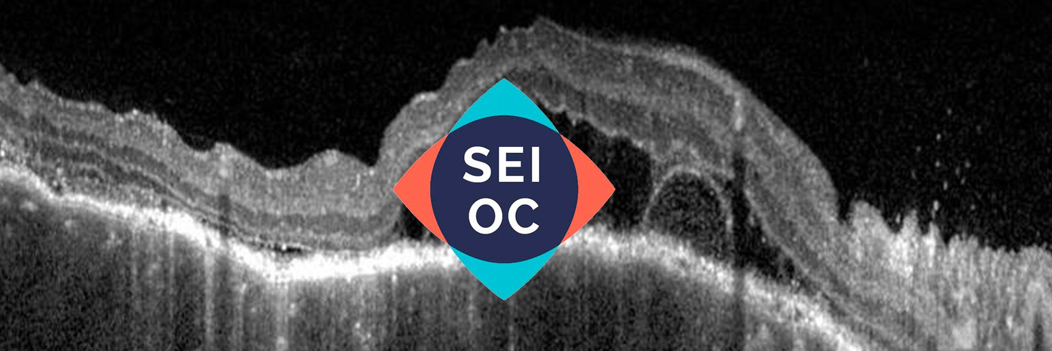 SEIOC's banner