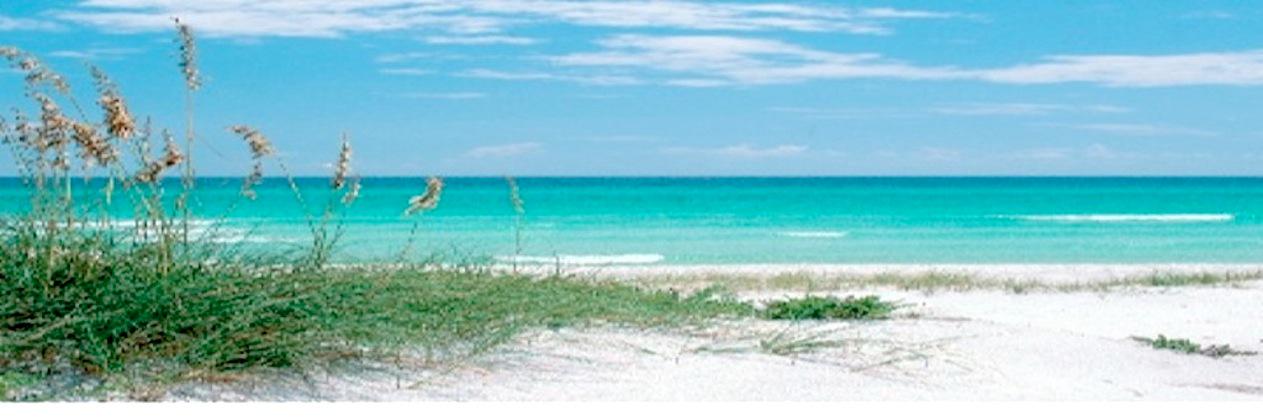 AnnBevino's profile banner image