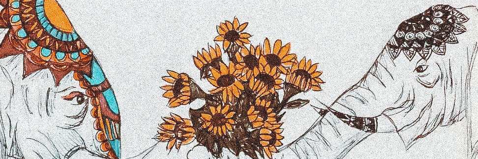 Mariiaa16's profile banner image