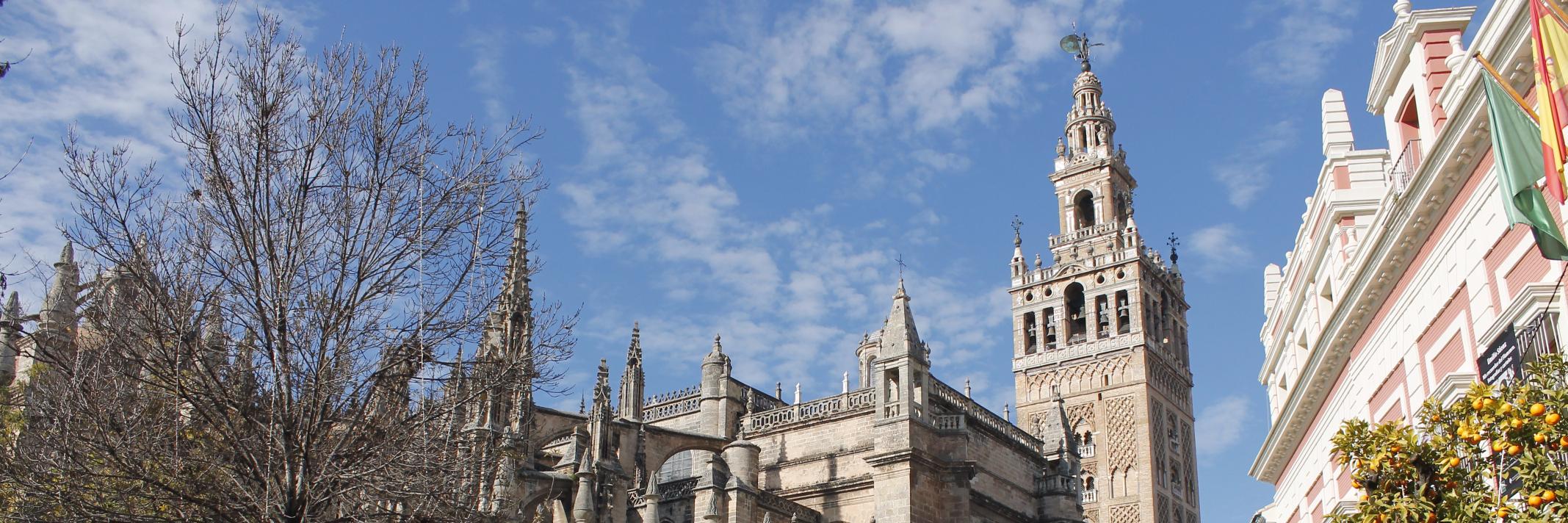 Spanish_ole_'s profile banner image